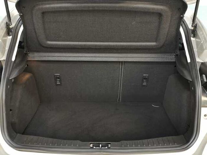 Ford Focus Cool & Connect +Sitz-&-Lenkradheiz. +Active Park Assist